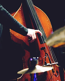 Double Bass Player