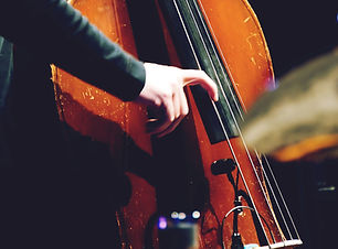 Double Bass Player