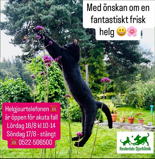 Skärmavbild 2025-08-15 kl. 22.34.37.png