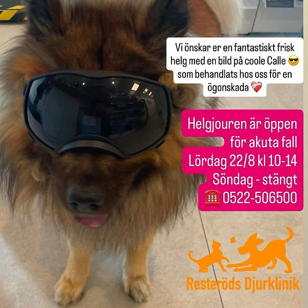resteröds djurklinik veterinär ljungskile.jpg