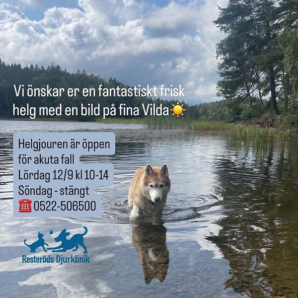 Resteröds Djurklinik Veterinär Ljungskile.jpg