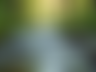 The Power of Mindfulness in Everyday Life