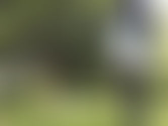 İnsanlar Dikkatlerini Daha Etkili Bir Şekilde Odakladıklarında Daha Yaratıcı Olabilirler