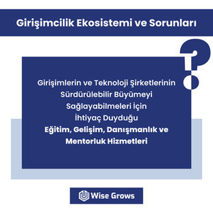 Girişimcilik Ekosistemi ve Sorunları -3