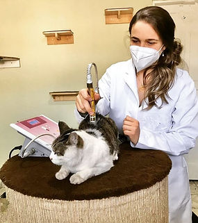 Médica Veterinária