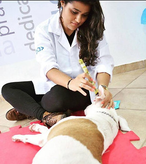 Médica Veterinária