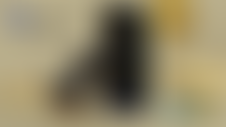 Tutoriel Wallet Maiar : Staking et revenus passifs en $EGLD