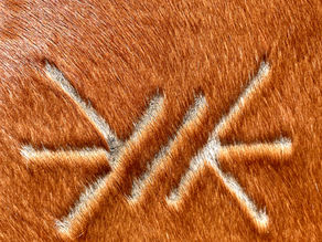 Branding with Purpose