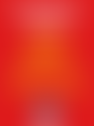 Como transportar sua bike com segurança