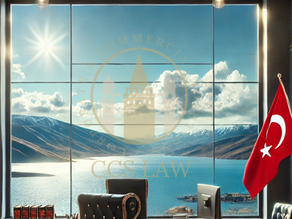 Comparing Limited and Joint Stock Companies in Turkey: Key Differences and Considerations