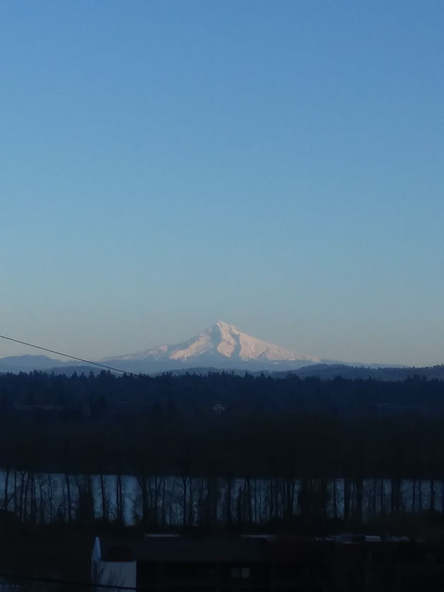 20201205_145951_edited.jpg