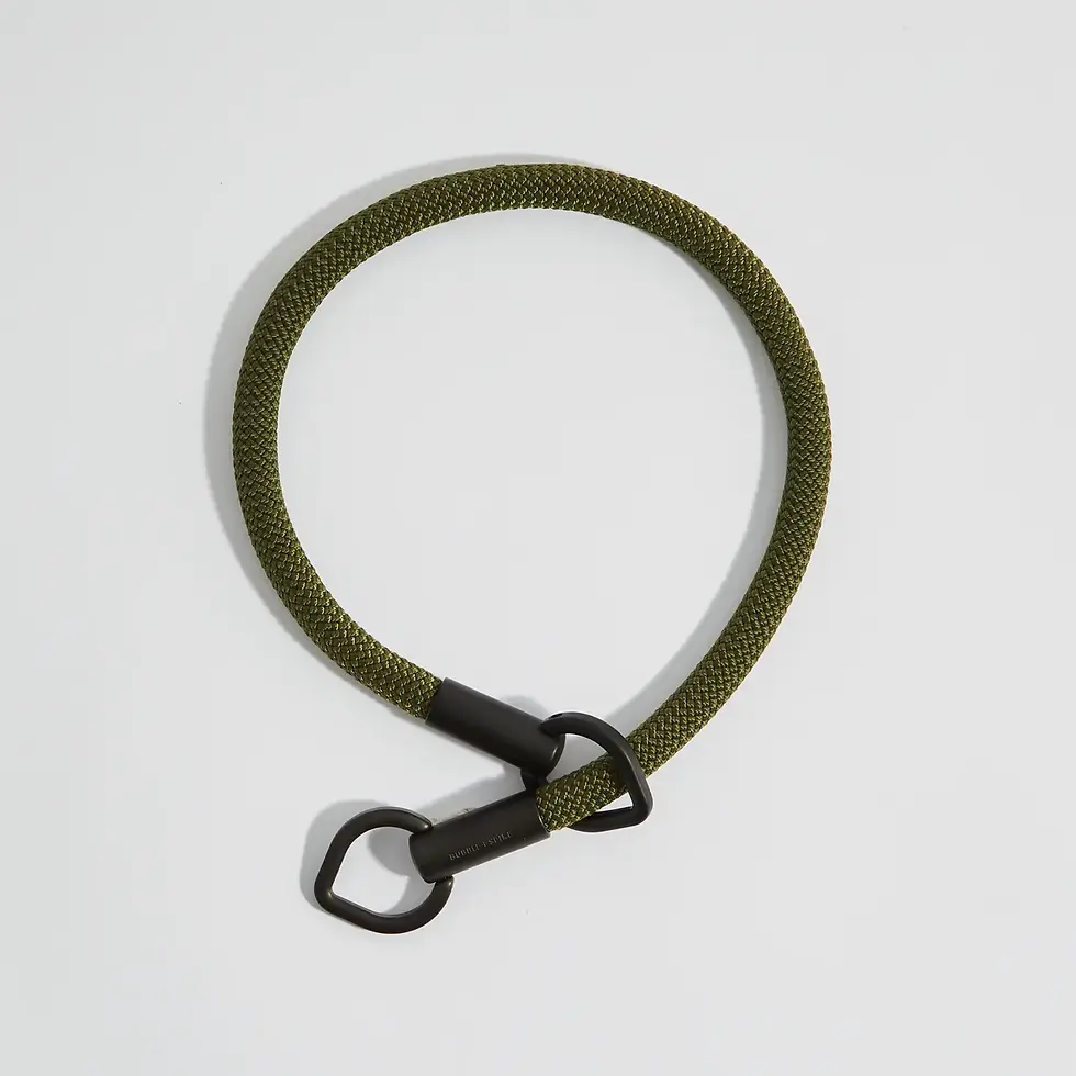 Thumbnail: Swirl Simple Slip Dog Collar