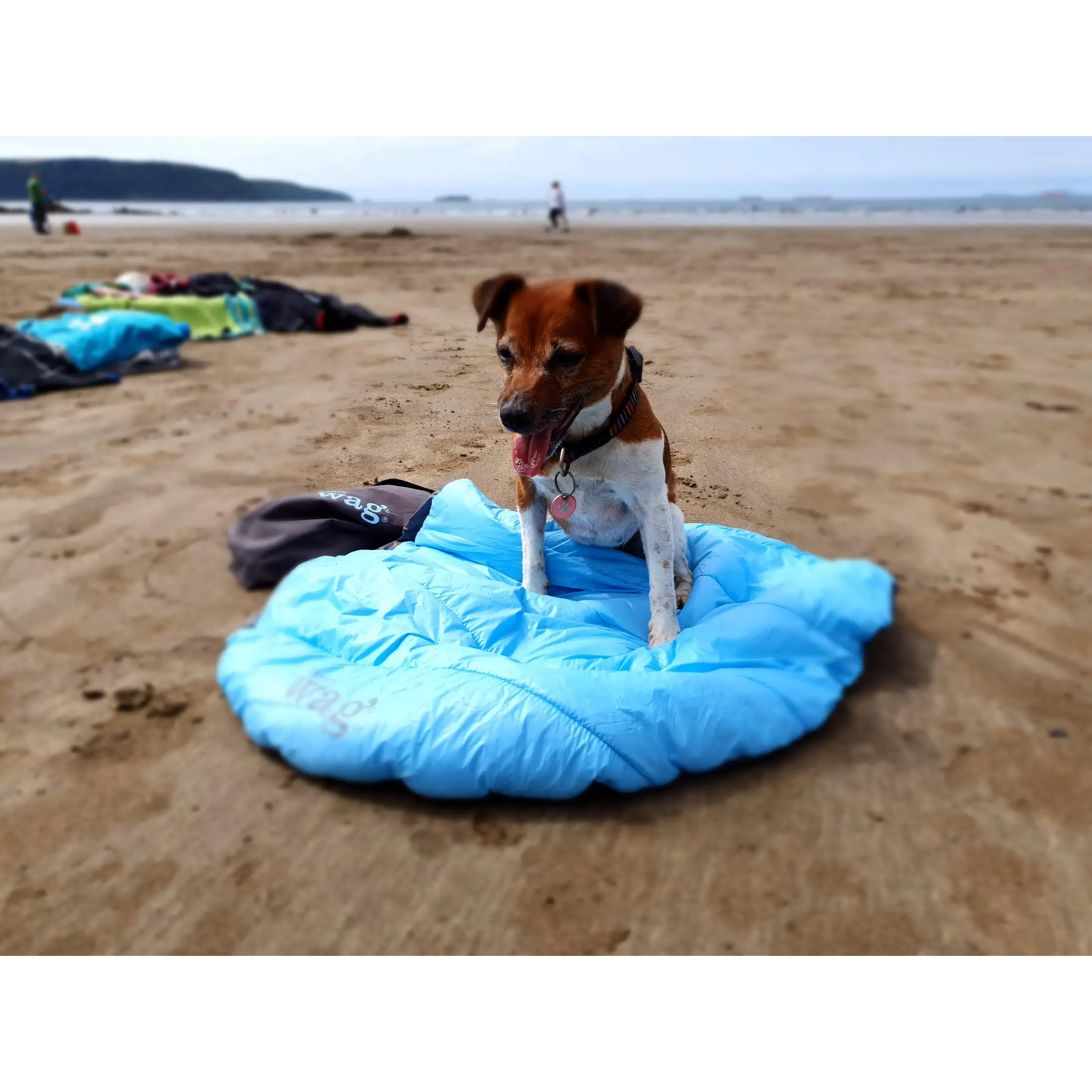Henry wag dog hot sale bed