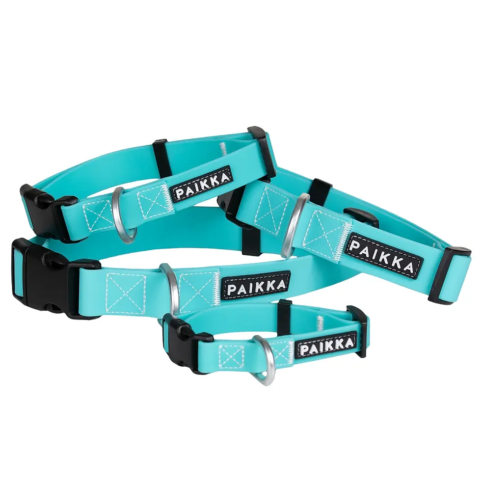 Thumbnail: Paikka Glow Collar 