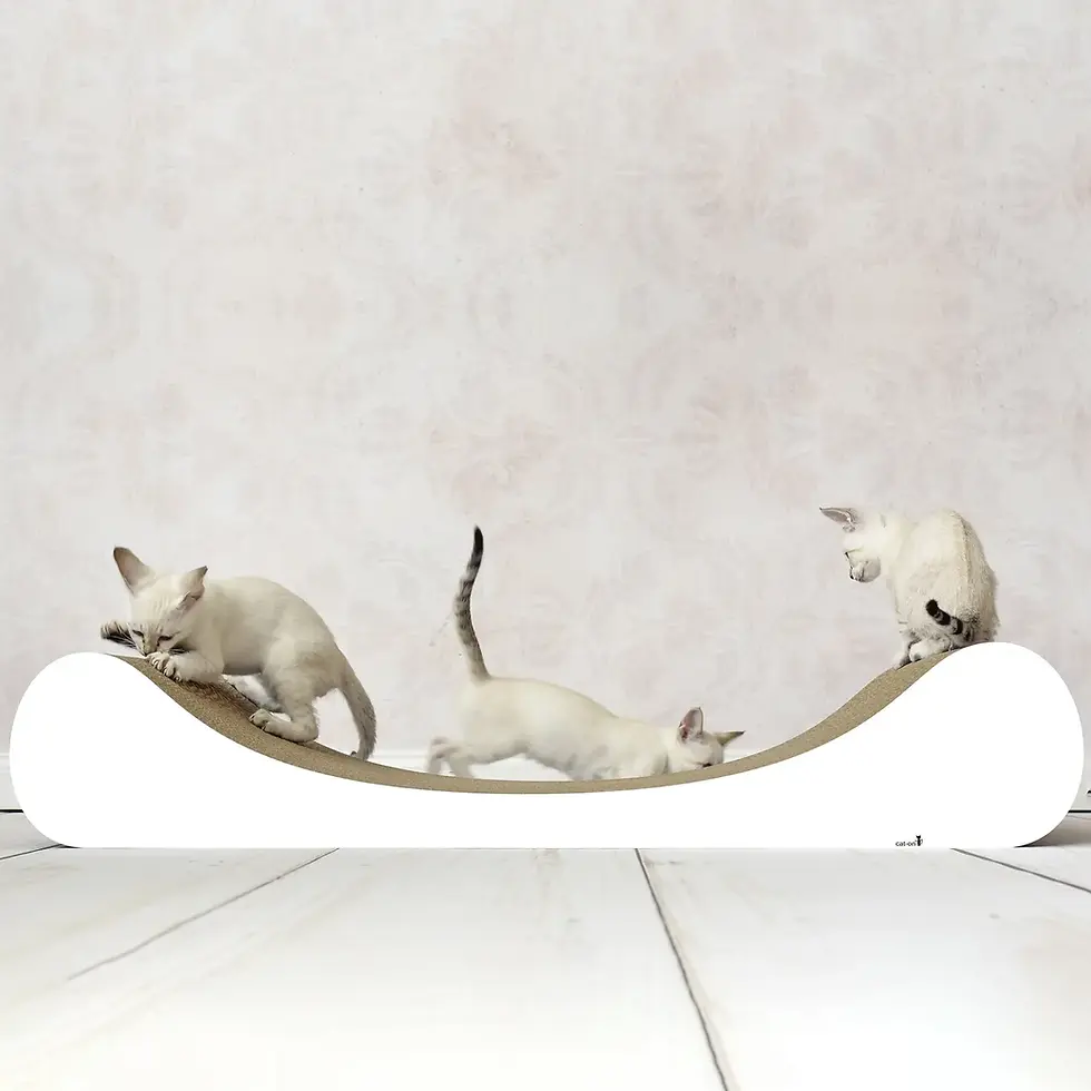 Thumbnail: Design Cat Furniture Le Divan by Cat On
