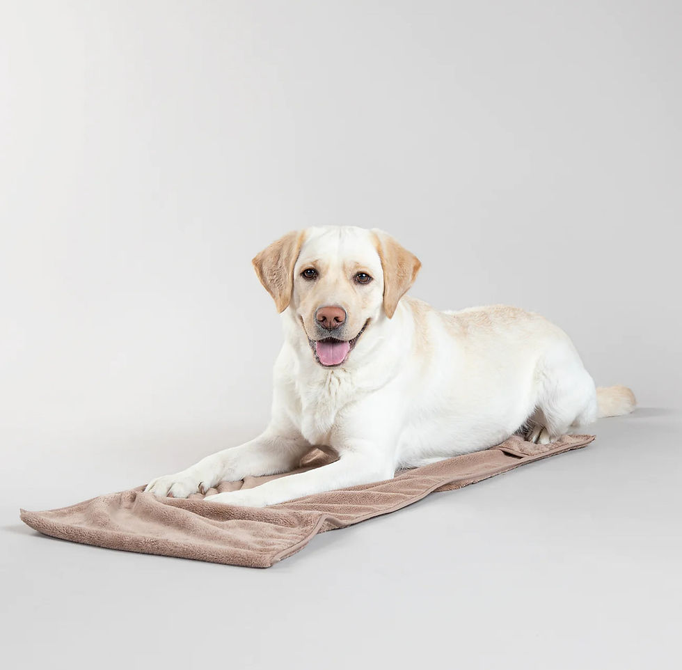 Thumbnail: Paikka Drying Towel for Dogs