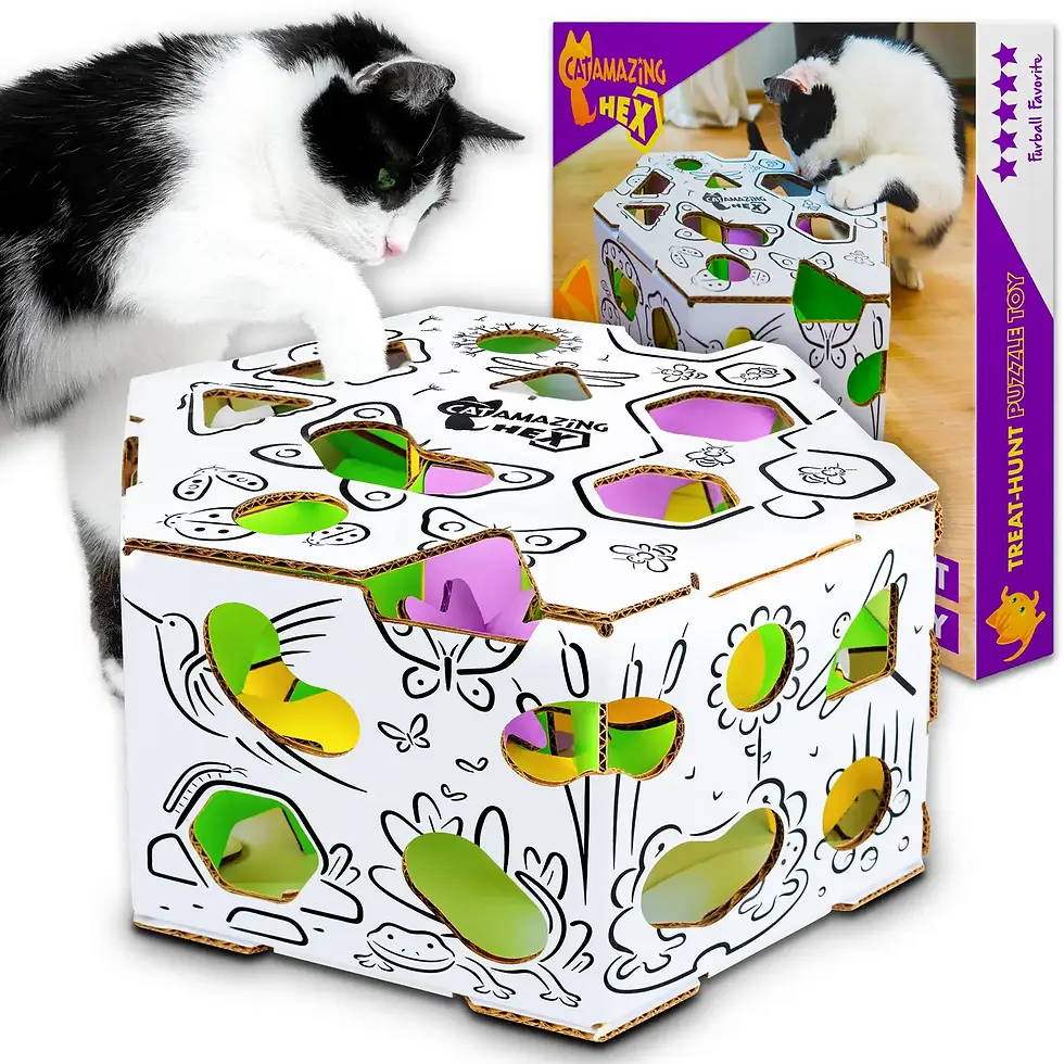 Thumbnail: Hex Interactive Cat Toy and Puzzle Feeder