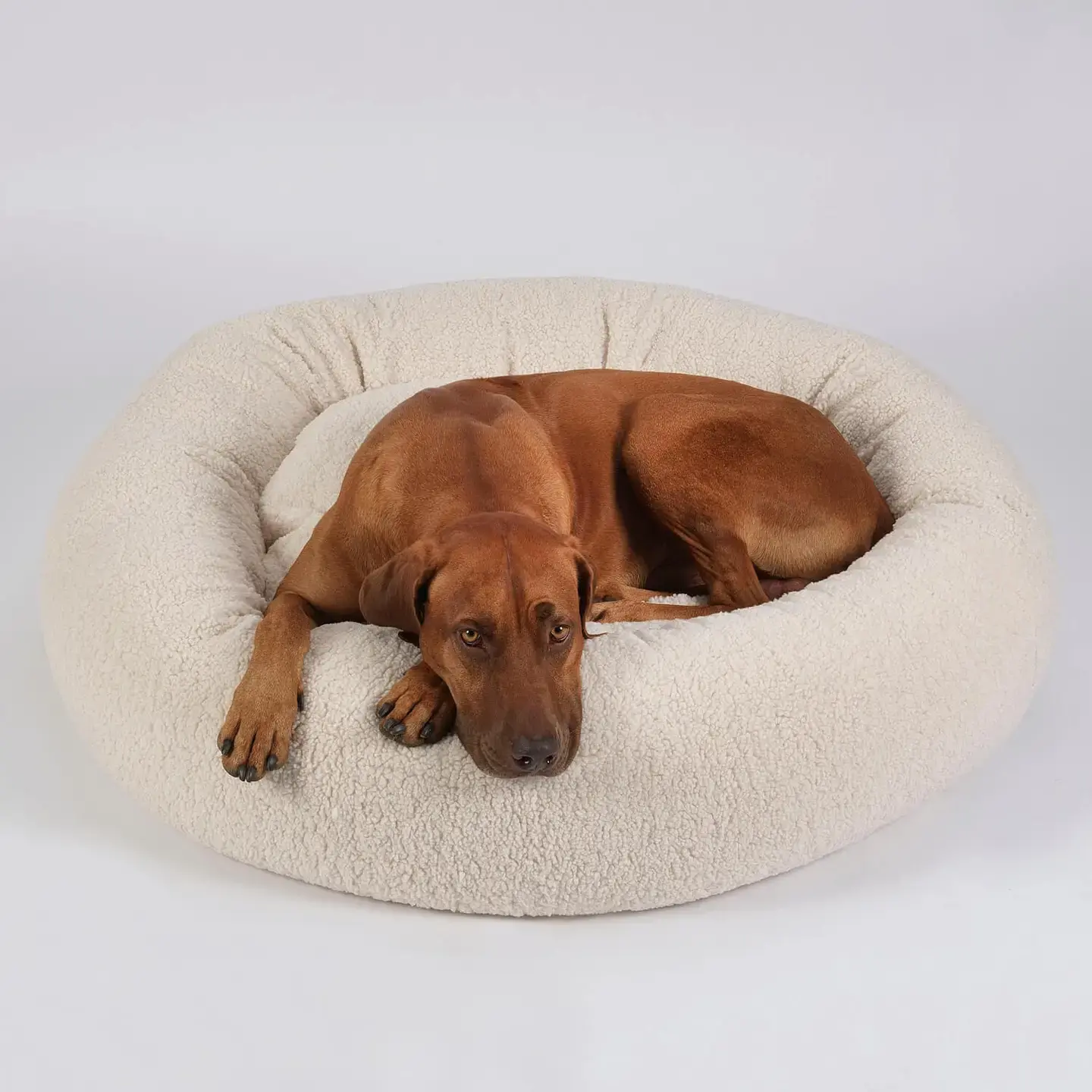Dog Cushion Donut Cuddly Nest Loop - Cream by Dogs in the City