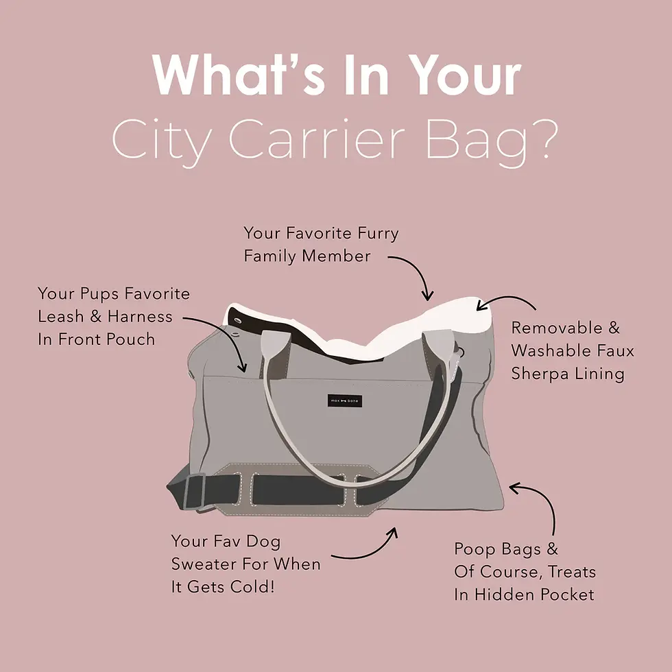 Thumbnail: Max Bone City Carrier Bag