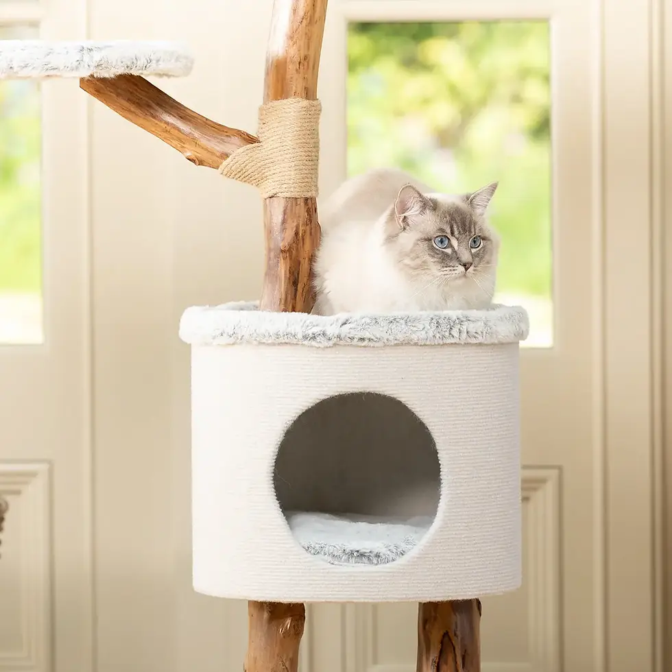 Thumbnail: Back To Nature the High Rise Cat Scratch Post
