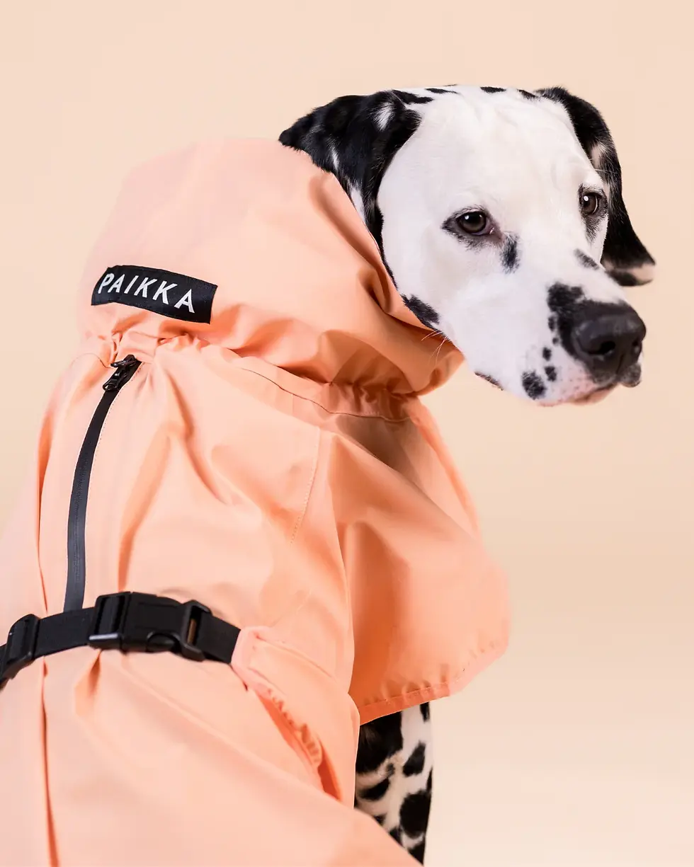 Thumbnail: Paikka Reflective Shell Jackets - Matcha & Peach