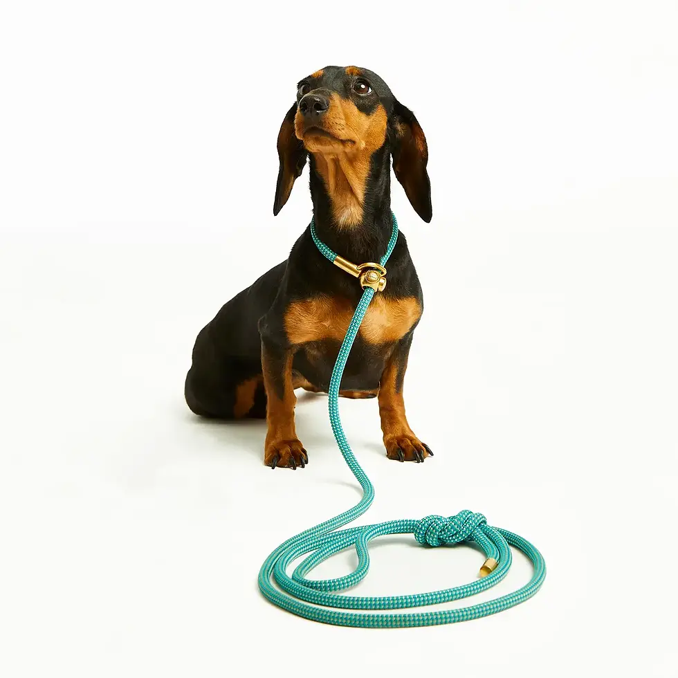 Mini Swirl Simple Slip Lead™