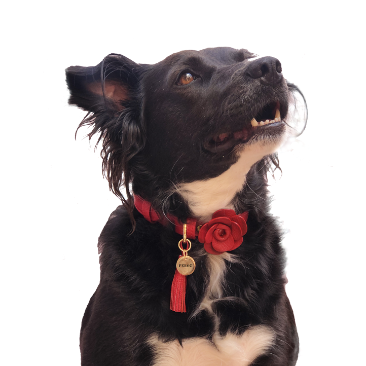 The Feroz Flower - Collar Attachement