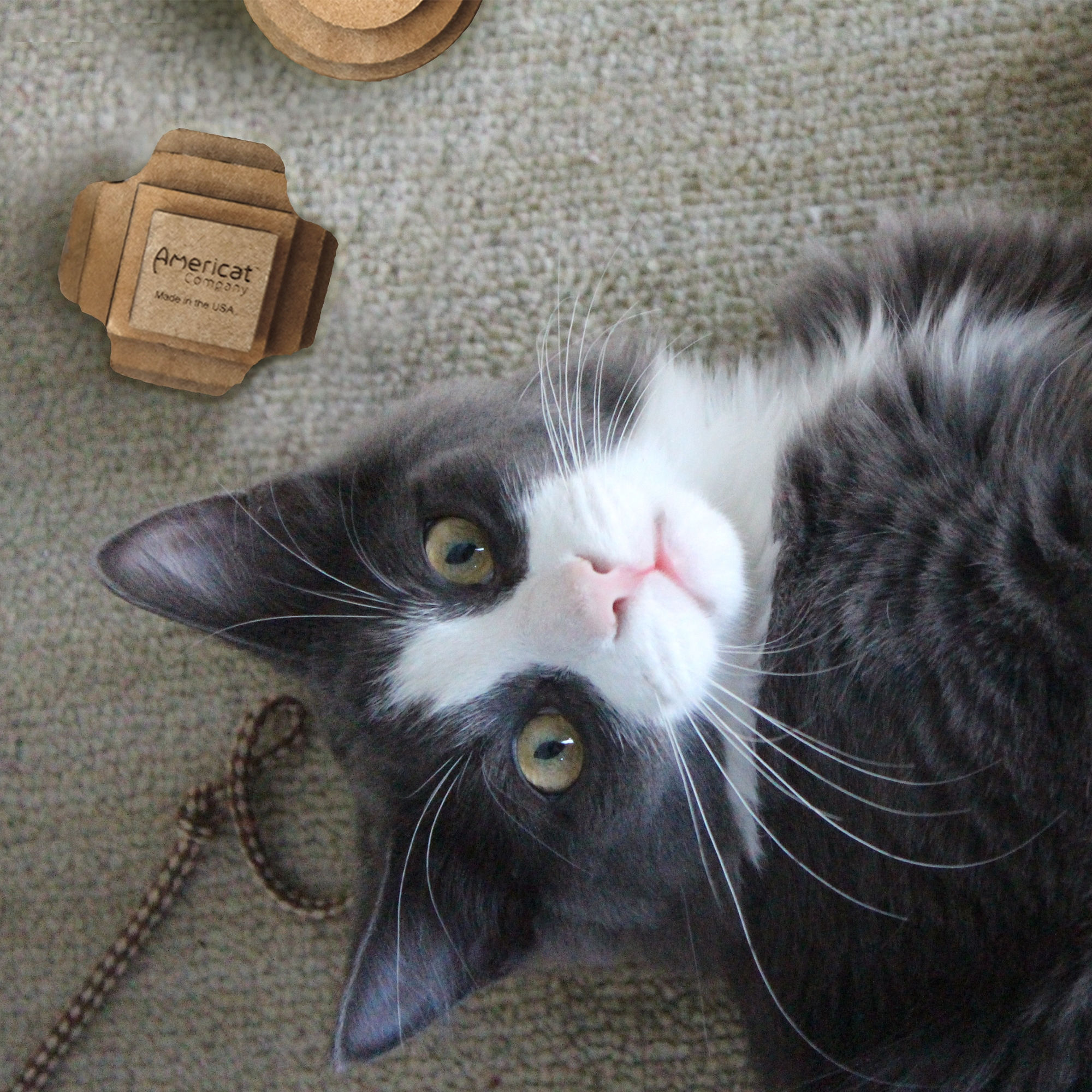 ECO FRIENDLY CAT TOY BALLS