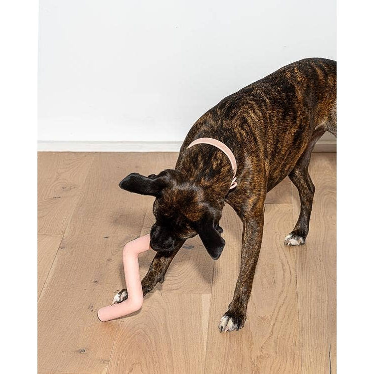 The Bolt Bite Dog Chew Toy