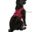 Thumbnail: Sleepypod Martingale Calming Dog Harness - Walking Harness