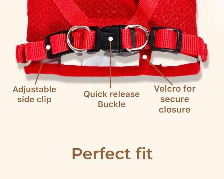 Thumbnail: MeowCat Harness By Adventure Kitty