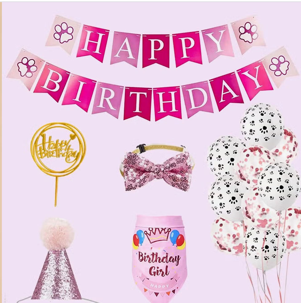 Thumbnail: Birthday Dog Boxes