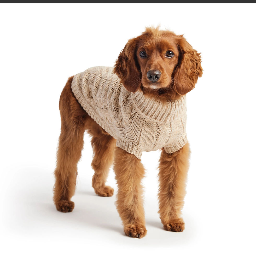 Thumbnail: GF PET Chalet Sweater 