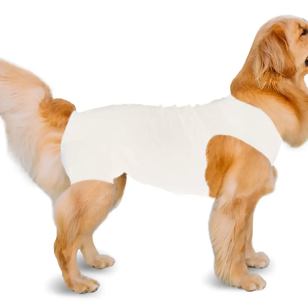 Thumbnail: Shed Defender Post Surgery Recovery Suit