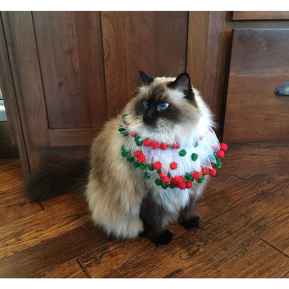 CHRISTMAS POM POM COLLARS