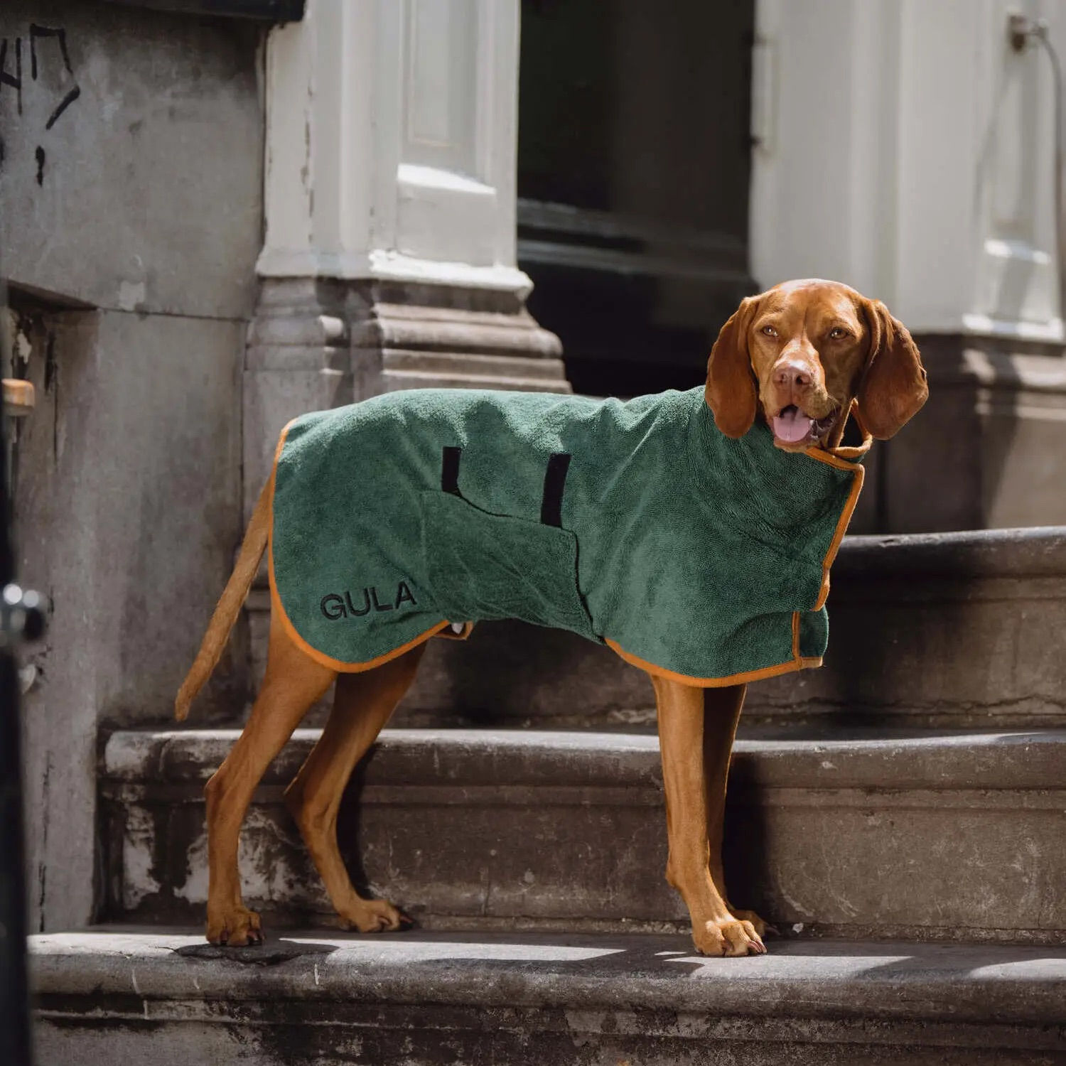 Dog Robe / Dog Dry Towel - Green & Orange