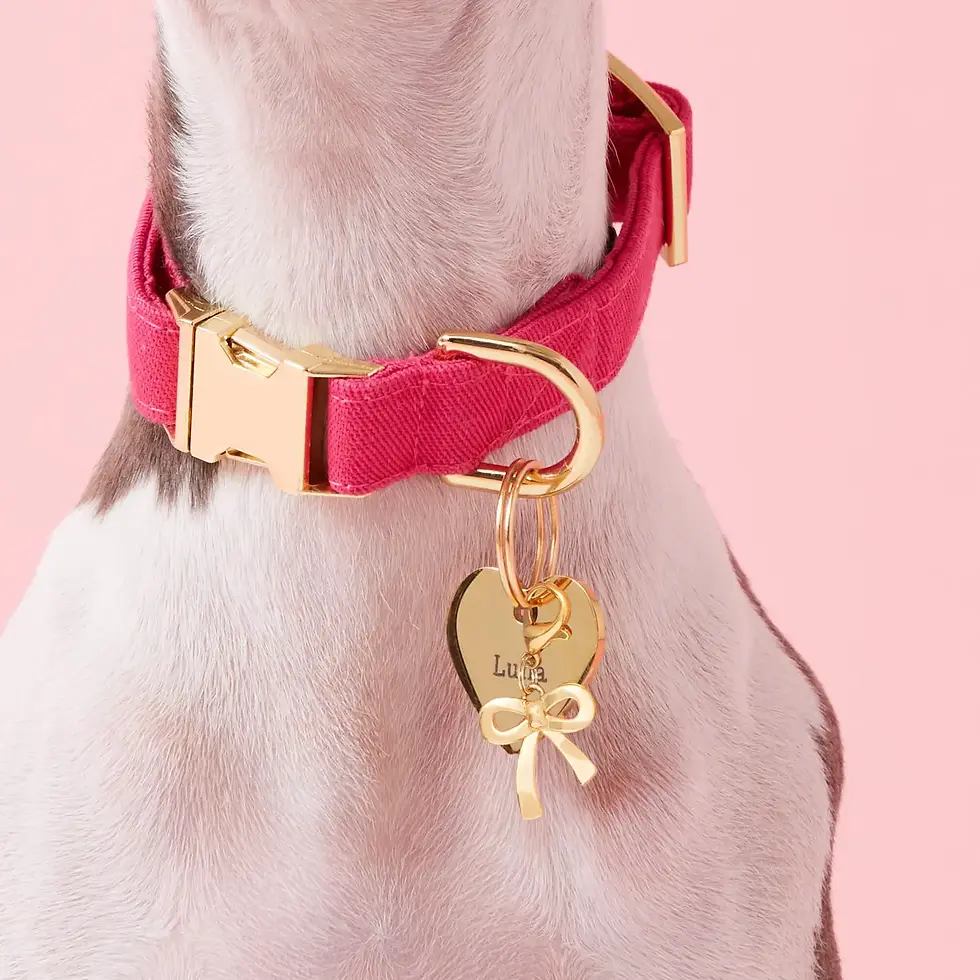 Dog Collar Charms