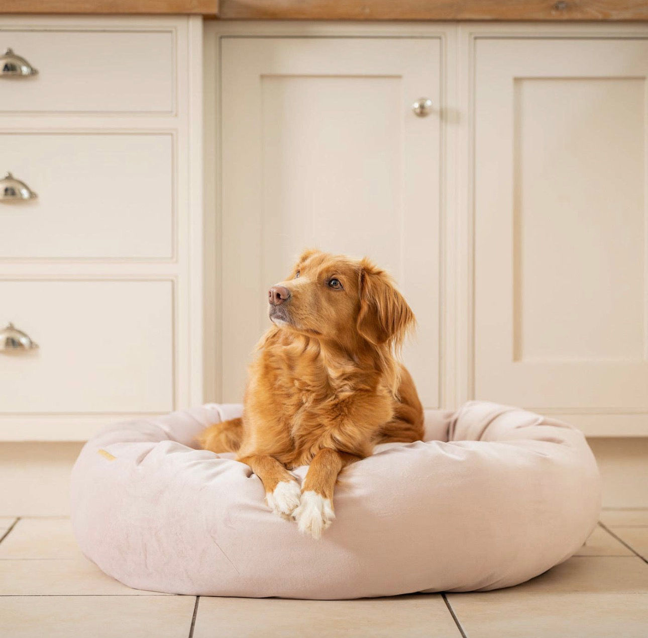 Donut Bed with Removable Covers in Blossom Velvet