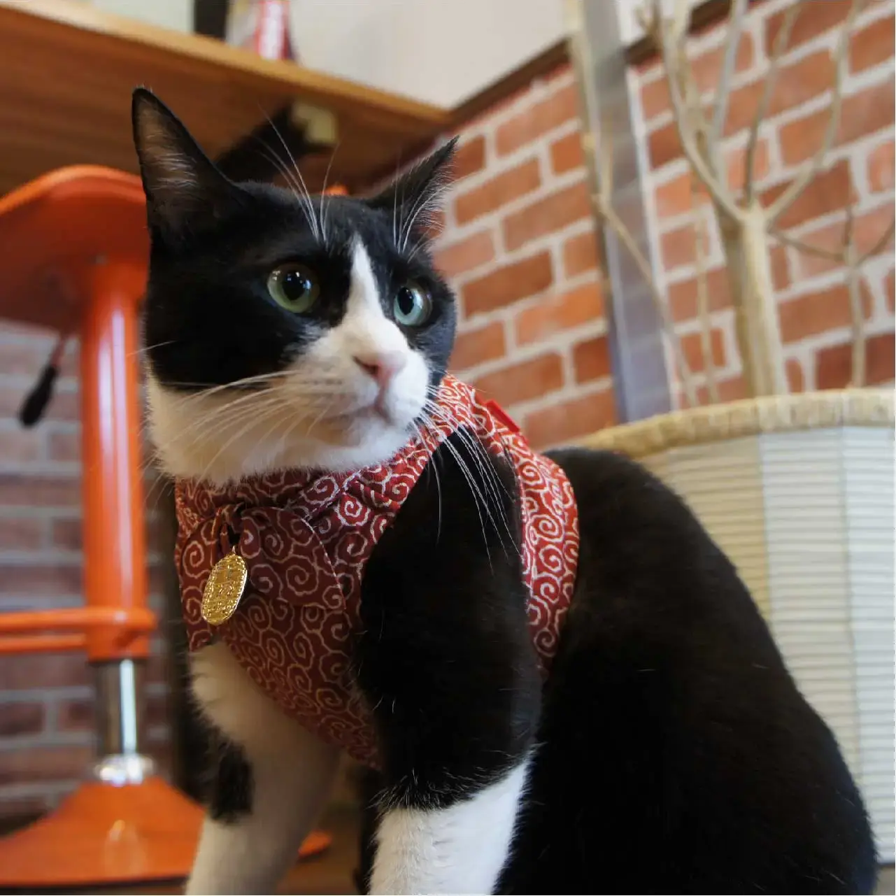 Ninja Cat Harness By Necoichi