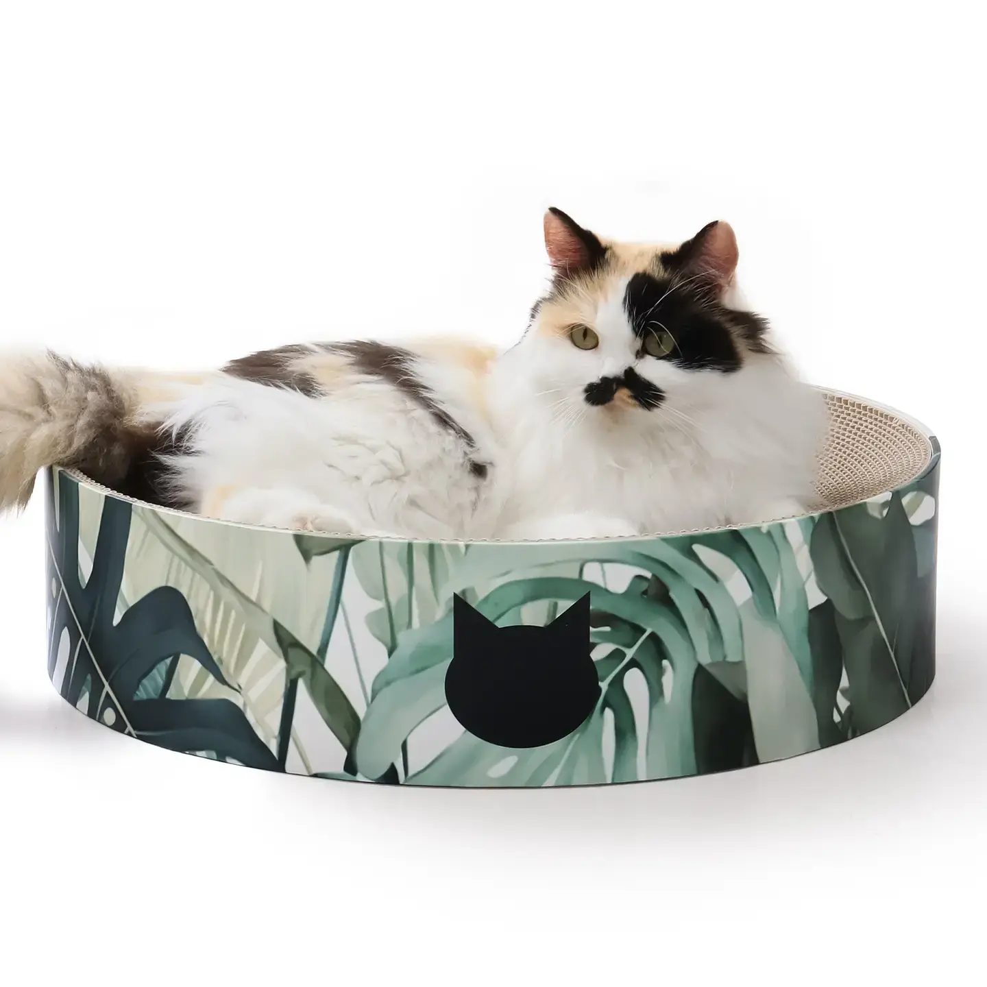 XL Cozy Cat Scratcher Bowl -Go Green