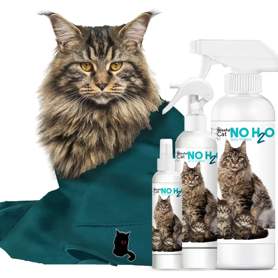 The Blissful Cat No H2O Spray Shampoo