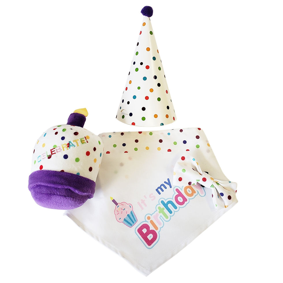 BIRTHDAY BONANZA PAWTY KIT - By Jo Jo Pets