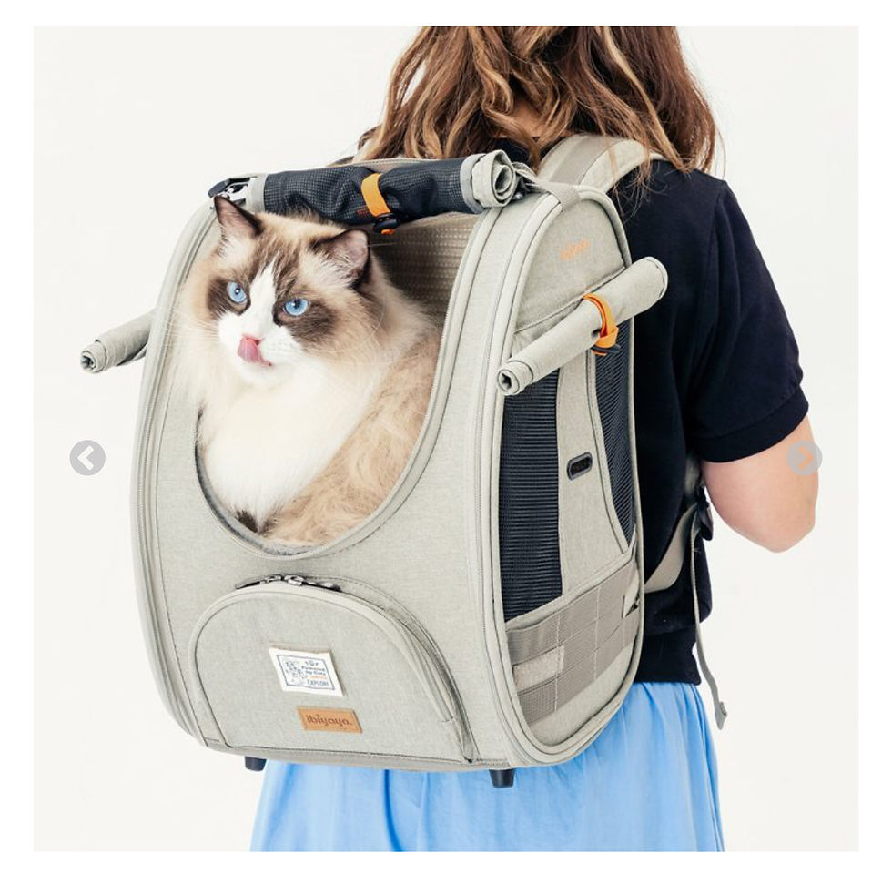 Adventure Cat Carrier by Ibiyaya