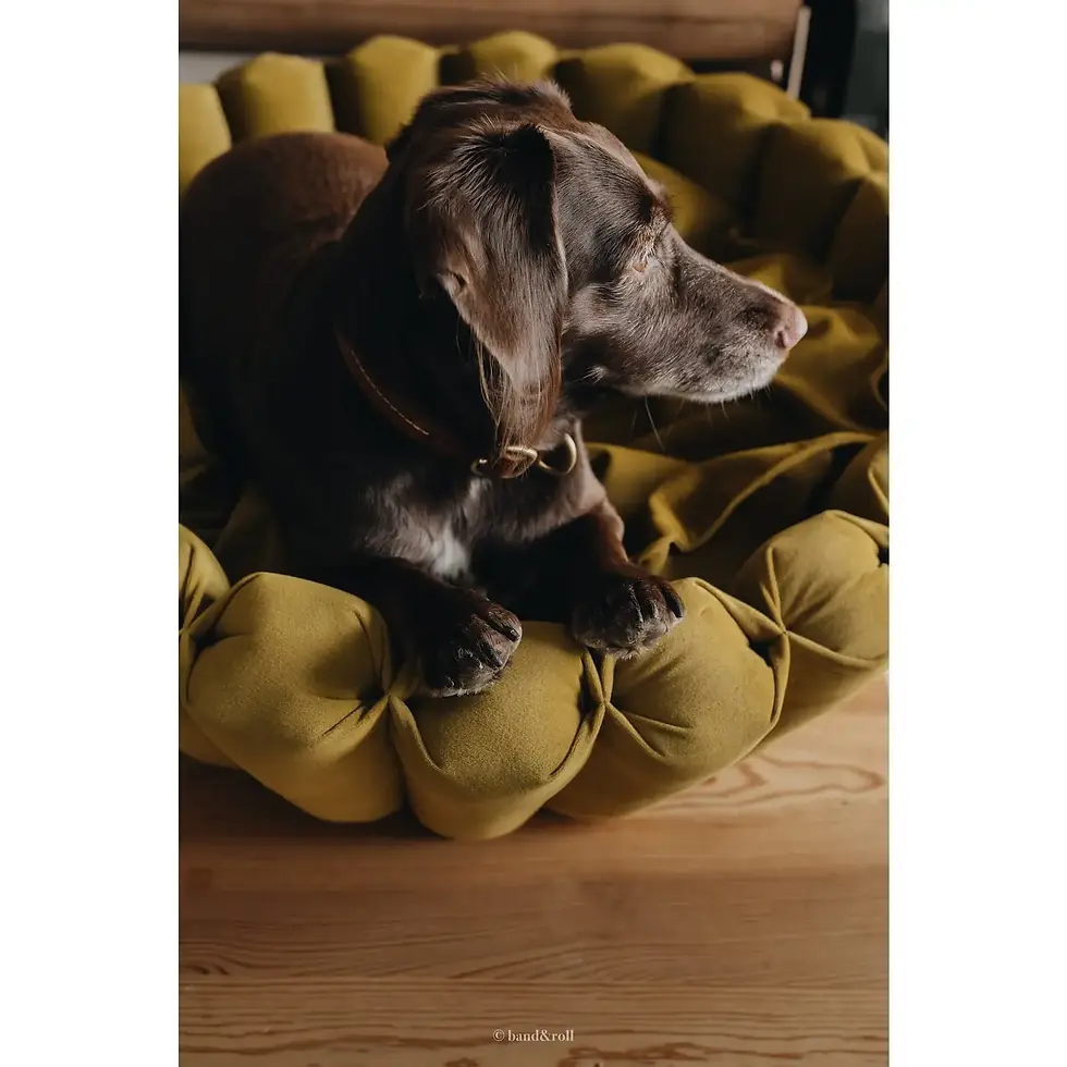 Thumbnail: Luxury Modern Dog Bed by Band&Roll 