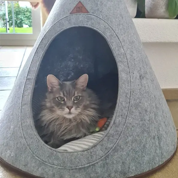 Thumbnail: Tonto Felt Wool Dogs & Cats Teepee by Pet & Co Switzerland - Large 