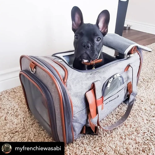 Gold Series Airline Capable Pet Carrier by Mr. Peanut s Lola Nell
