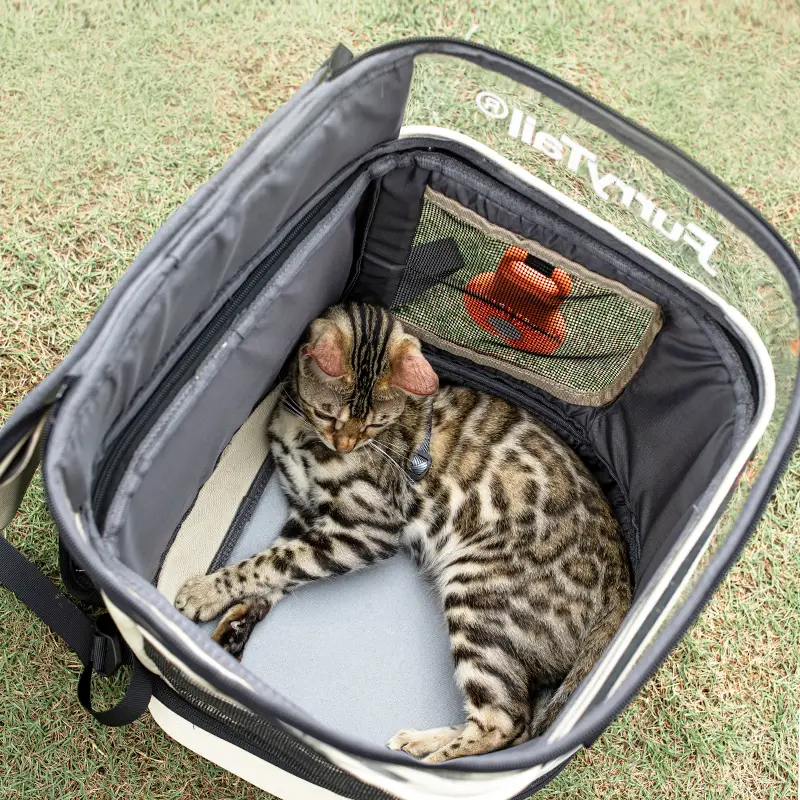 Thumbnail: Furrytail Navigator Cat Backpack - For Adventurous Cats
