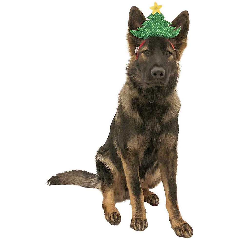 CHRISTMAS TREE HAT DRESS UP