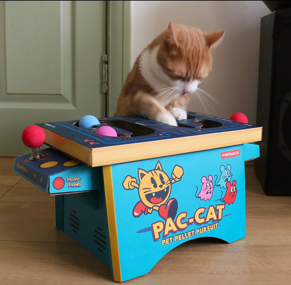 Thumbnail: Retro Cat Arcade – Cardboard Cat Scratcher, Playhouse & Interactive Toy