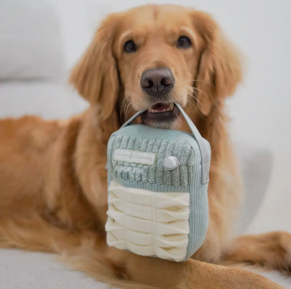 Woof Fm Enrichment Dog Toy